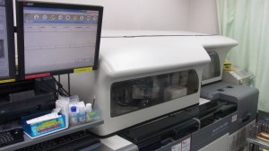 RIMG0163