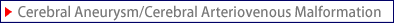 Cerebral Aneurysm/Cerebral Arteriovenous Malformation