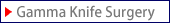 Gamma Knife Surgery