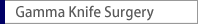 Gamma Knife Surgery